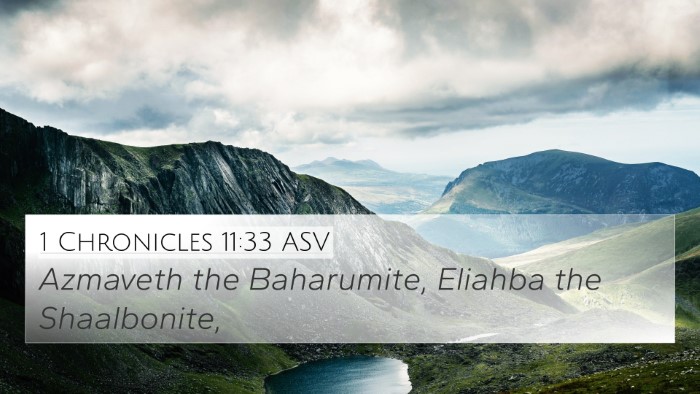 1 Chronicles 11:33 ASV Bible Verse Image