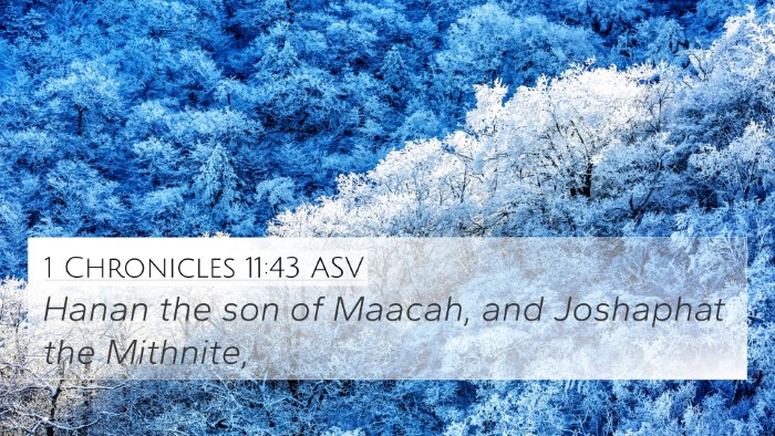 1 Chronicles 11:43 ASV 4K Wallpaper - Hanan the son of Maacah, and Joshaphat the - 4K Wallpaper Bible Verse