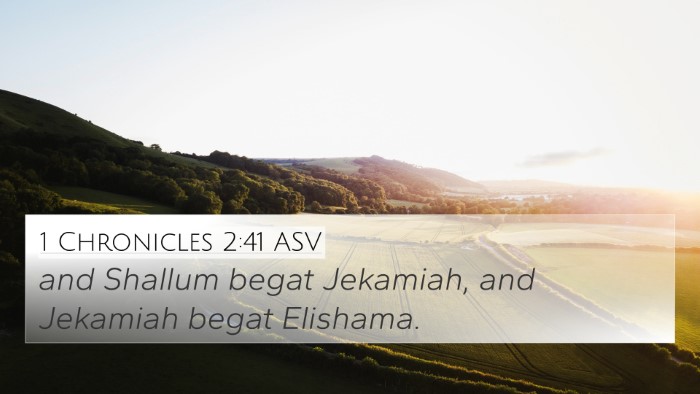 1 Chronicles 2:41 ASV 4K Wallpaper - and Shallum begat Jekamiah, and Jekamiah begat - 4K Wallpaper Bible Verse