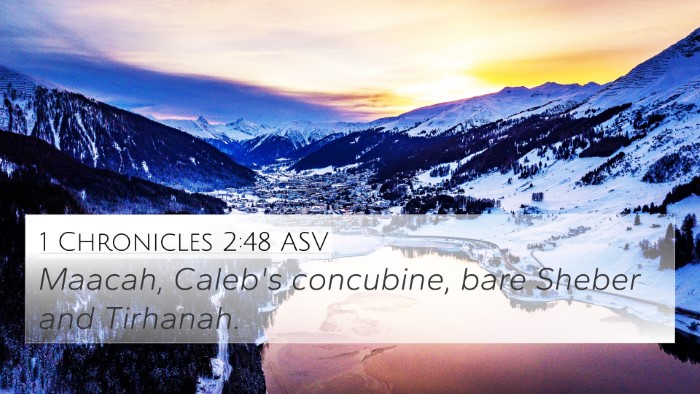 1 Chronicles 2:48 ASV 4K Wallpaper - Maacah, Caleb's concubine, bare Sheber and - 4K Wallpaper Bible Verse
