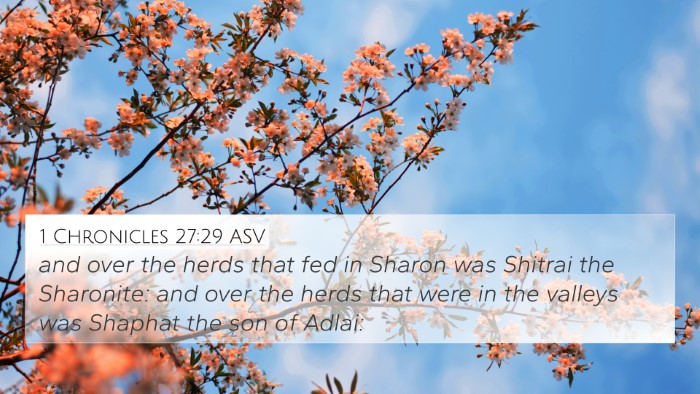 1 Chronicles 27:29 ASV Bible Verse Image