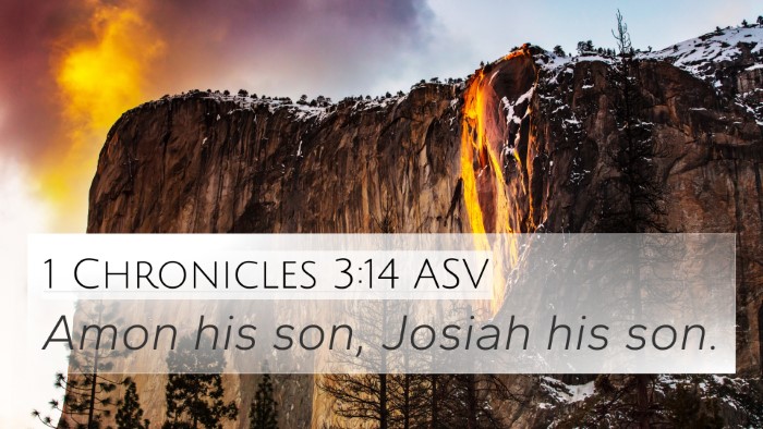 1 Chronicles 3:14 ASV Bible Verse Image