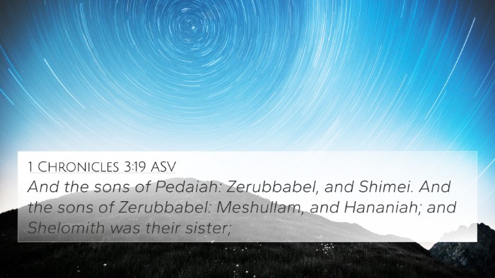 1 Chronicles 3:19 ASV Bible Verse Image