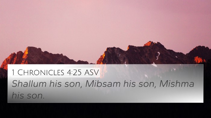 1 Chronicles 4:25 ASV 4K Wallpaper - Shallum his son, Mibsam his son, Mishma his - 4K Wallpaper Bible Verse