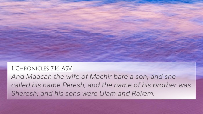 1 Chronicles 7:16 ASV 4K Wallpaper - And Maacah the wife of Machir bare a son, and she - 4K Wallpaper Bible Verse