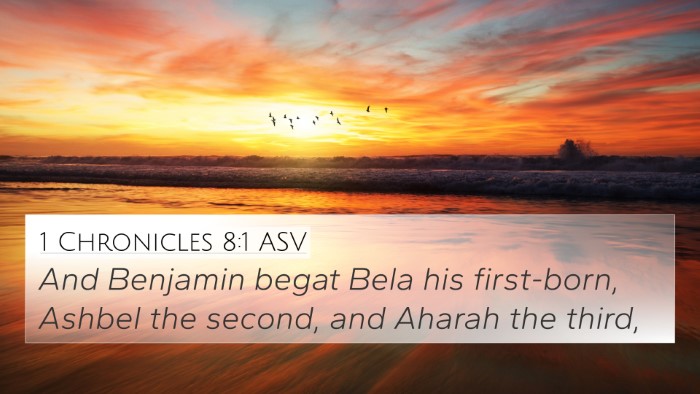 1 Chronicles 8:1 ASV Bible Verse Image