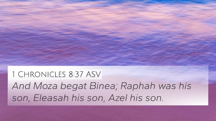 1 Chronicles 8:37 ASV Bible Verse Image