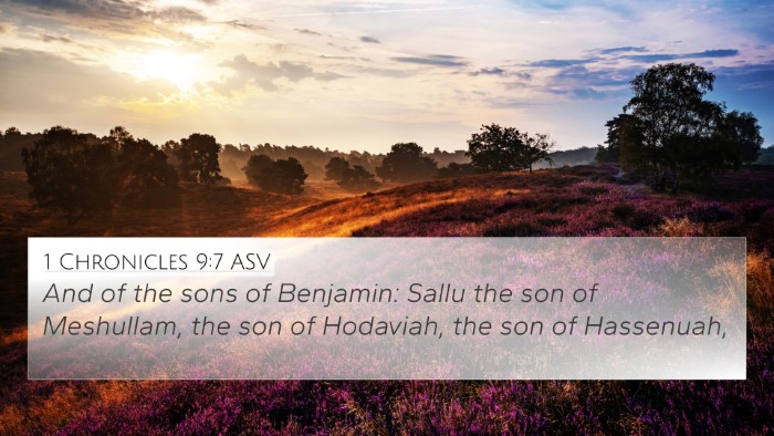 1 Chronicles 9:7 ASV Bible Verse Image