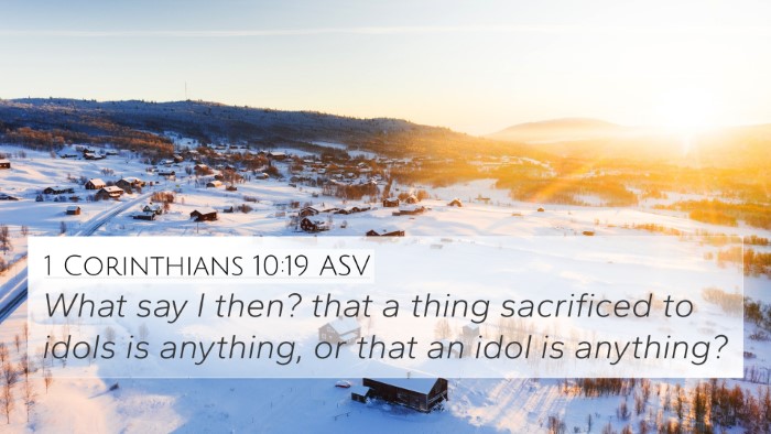 1 Corinthians 10:19 ASV Bible Verse Image