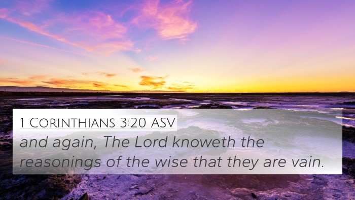 1 Corinthians 3:20 ASV Bible Verse Image