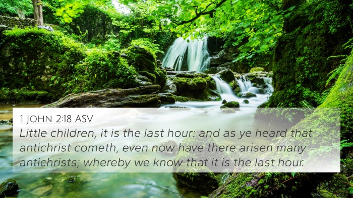 1 John 2:18 ASV Bible Verse Image