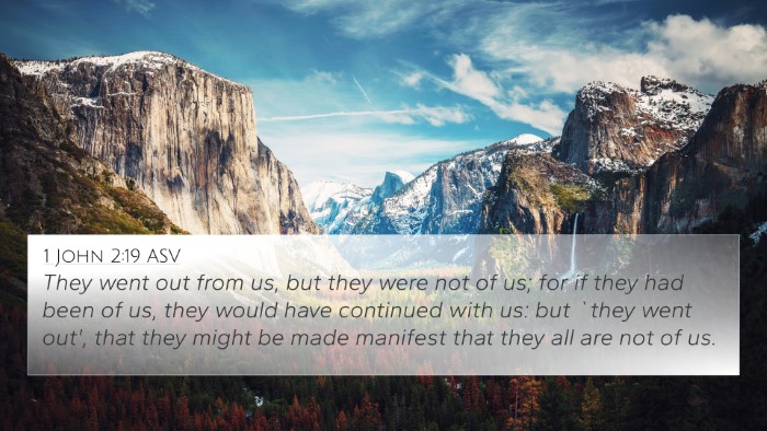 1 John 2:19 ASV Bible Verse Image