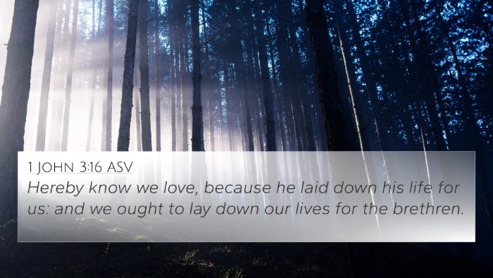 1 John 3:16 ASV Bible Verse Image