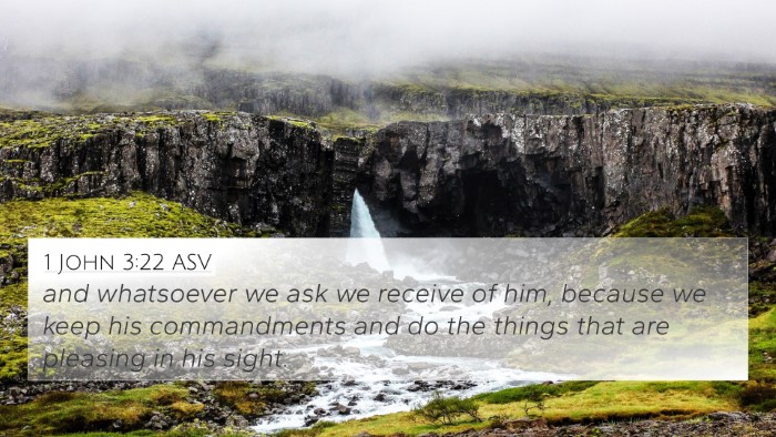 1 John 3:22 ASV Bible Verse Image