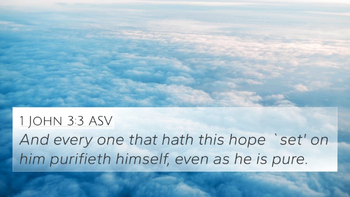 1 John 3:3 ASV Bible Verse Image