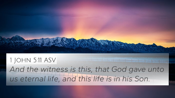 1 John 5:11 ASV Bible Verse Image