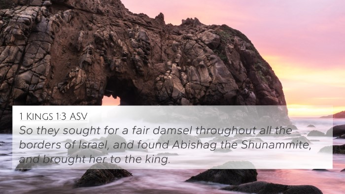 1 Kings 1:3 ASV 4K Wallpaper - So they sought for a fair damsel throughout all - 4K Wallpaper Bible Verse