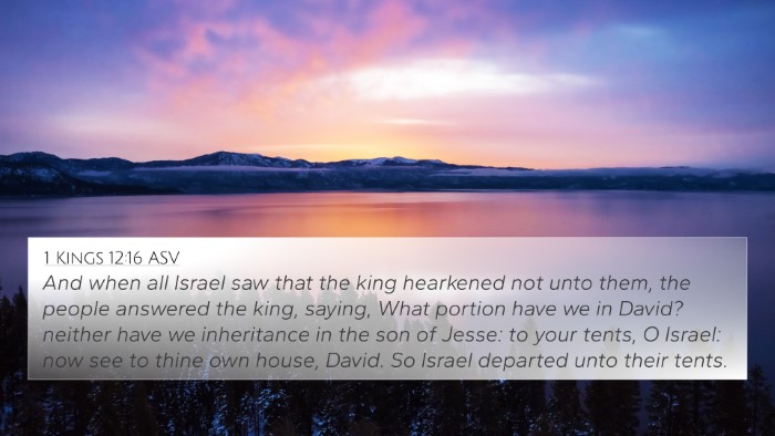 1 Kings 12:16 ASV Bible Verse Image