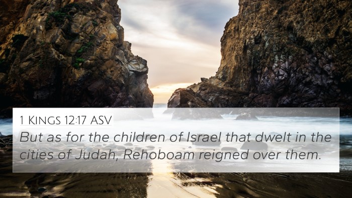1 Kings 12:17 ASV Bible Verse Image