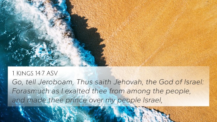 1 Kings 14:7 ASV Bible Verse Image