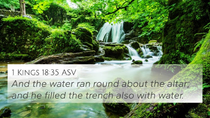 1 Kings 18:35 ASV 4K Wallpaper - And the water ran round about the altar; and he - 4K Wallpaper Bible Verse