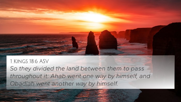 1 Kings 18:6 ASV 4K Wallpaper - So they divided the land between them to pass - 4K Wallpaper Bible Verse