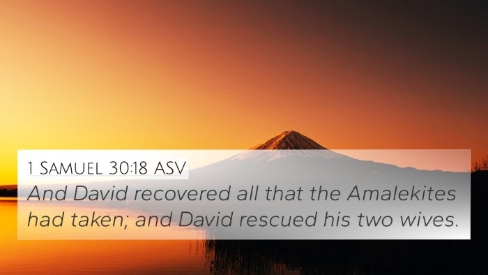 1 Samuel 30:18 ASV Bible Verse Image