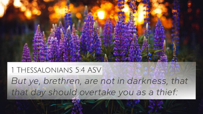 1 Thessalonians 5:4 ASV Bible Verse Image