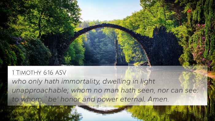 1 Timothy 6:16 ASV Bible Verse Image