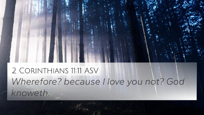 2 Corinthians 11:11 ASV Bible Verse Image