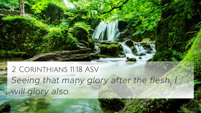 2 Corinthians 11:18 ASV Bible Verse Image