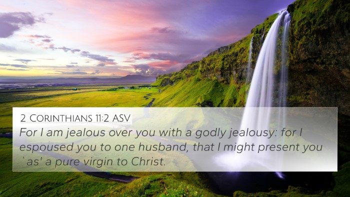 2 Corinthians 11:2 ASV Bible Verse Image