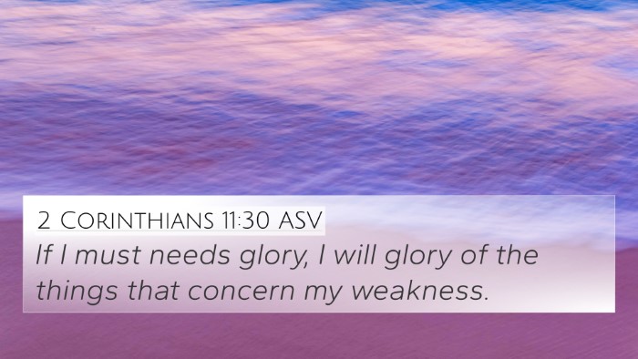2 Corinthians 11:30 ASV Bible Verse Image