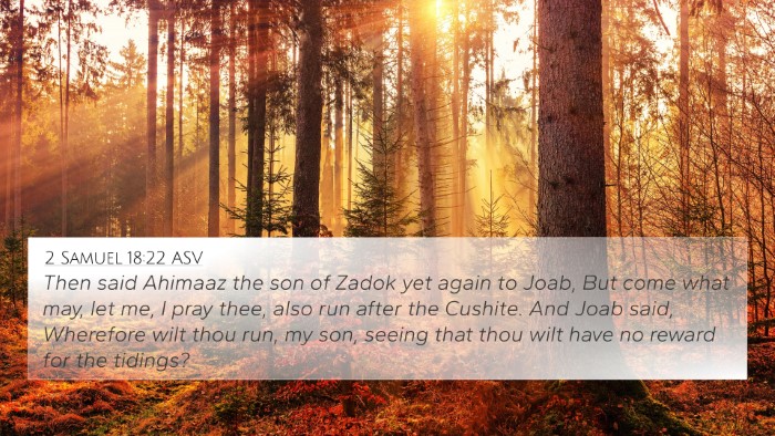 2 Samuel 18:22 ASV Bible Verse Image