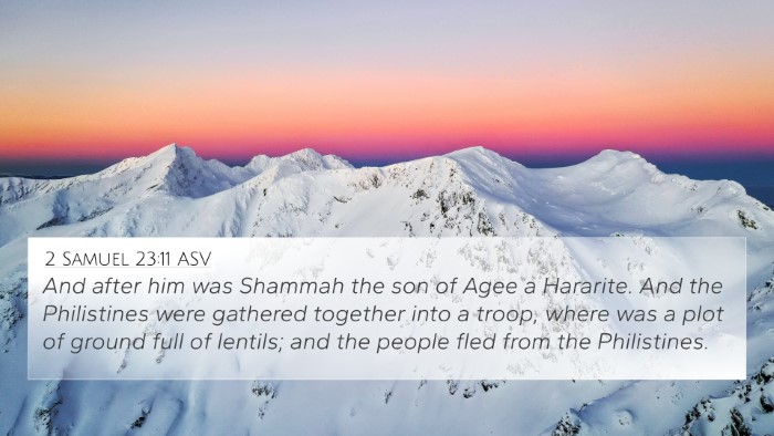 2 Samuel 23:11 ASV 4K Wallpaper - And after him was Shammah the son of Agee a - 4K Wallpaper Bible Verse