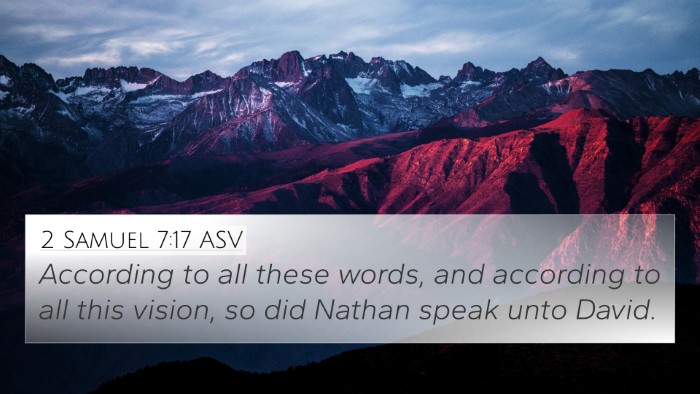 2 Samuel 7:17 ASV Bible Verse Image
