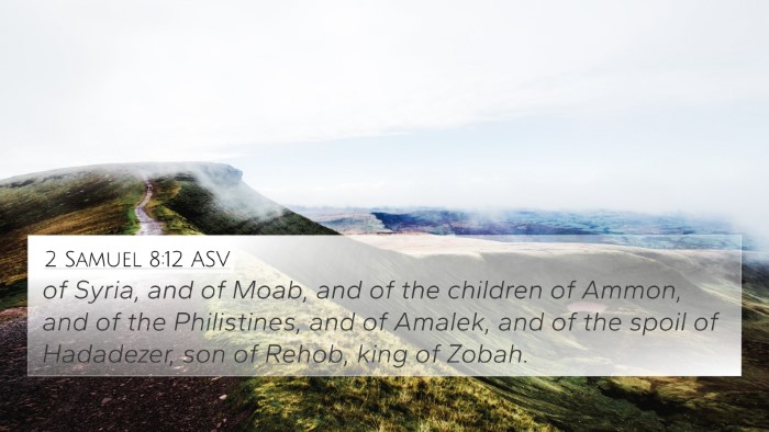 2 Samuel 8:12 ASV Bible Verse Image