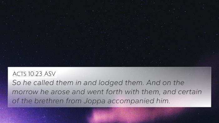 Acts 10:23 ASV Bible Verse Image