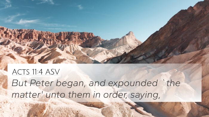 Acts 11:4 ASV Bible Verse Image