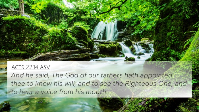 Acts 22:14 ASV Bible Verse Image