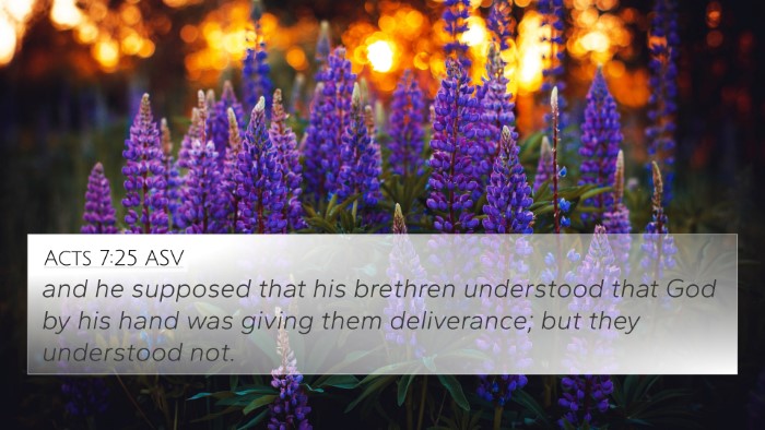 Acts 7:25 ASV Bible Verse Image