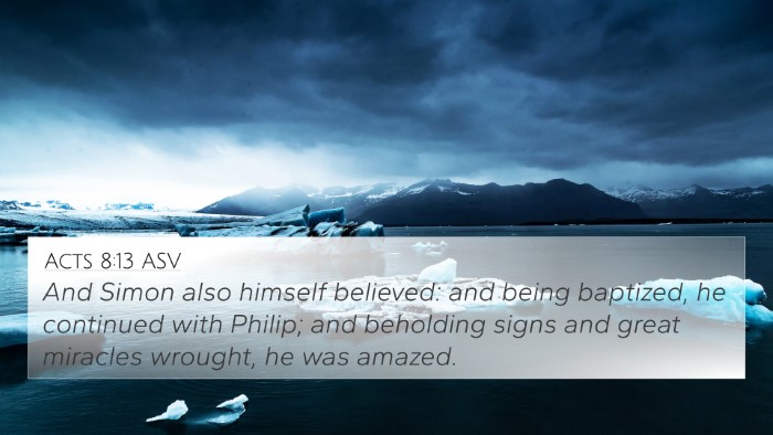 Acts 8:13 ASV Bible Verse Image