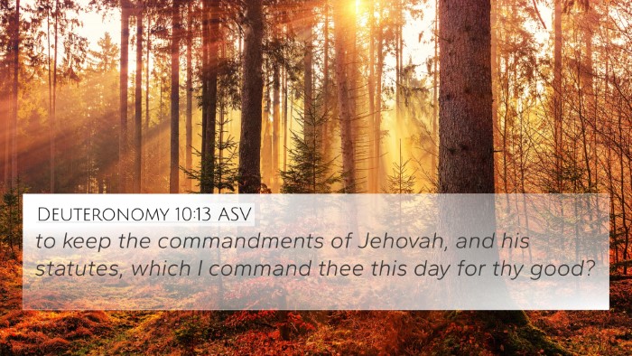 Deuteronomy 10:13 ASV Bible Verse Image