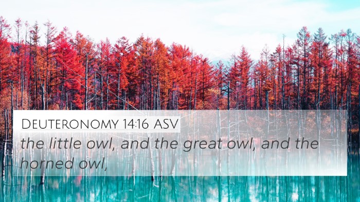 Deuteronomy 14:16 ASV 4K Wallpaper - the little owl, and the great owl, and the horned - 4K Wallpaper Bible Verse