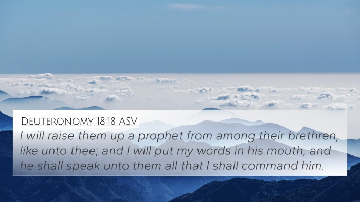 Deuteronomy 18:18 ASV Bible Verse Image