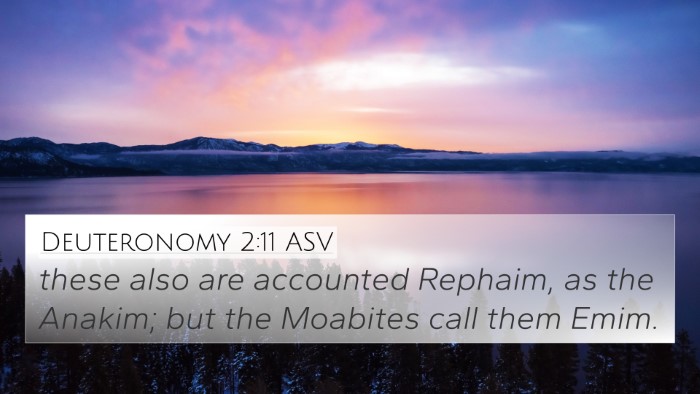 Deuteronomy 2:11 ASV Bible Verse Image