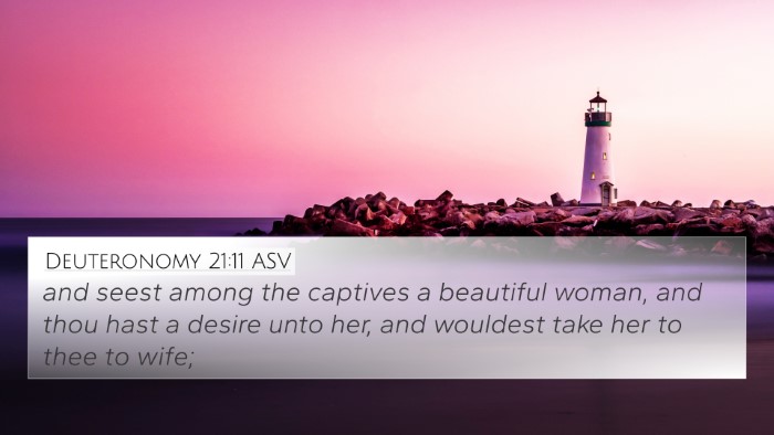 Deuteronomy 21:11 ASV 4K Wallpaper - and seest among the captives a beautiful woman, - 4K Wallpaper Bible Verse