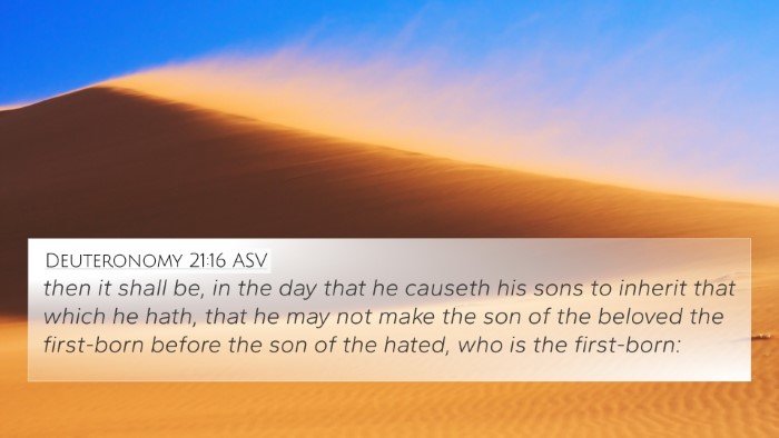 Deuteronomy 21:16 ASV Bible Verse Image