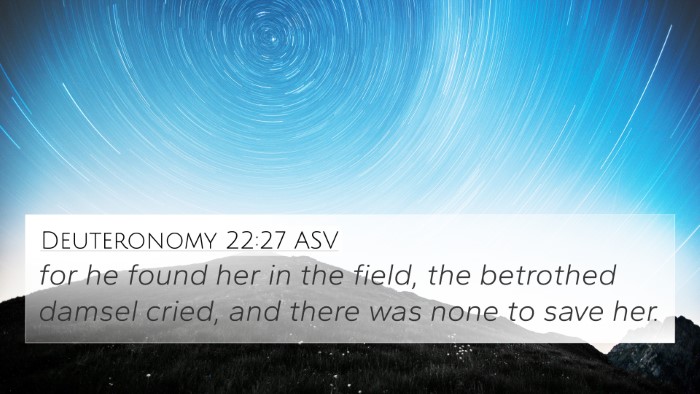 Deuteronomy 22:27 ASV 4K Wallpaper - for he found her in the field, the betrothed - 4K Wallpaper Bible Verse
