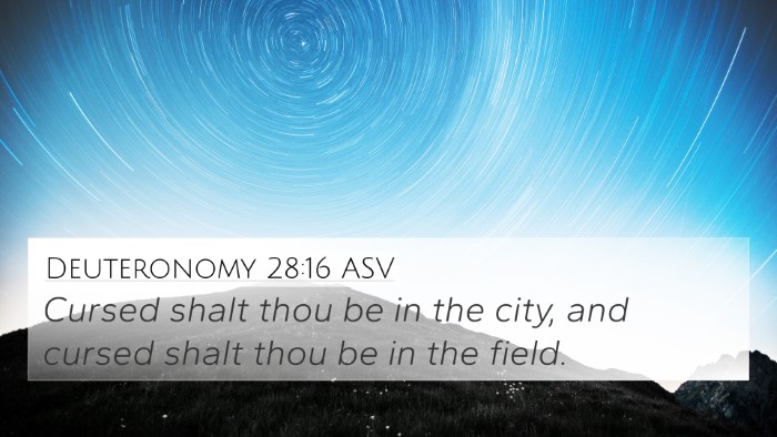 Deuteronomy 28:16 ASV 4K Wallpaper - Cursed shalt thou be in the city, and cursed - 4K Wallpaper Bible Verse